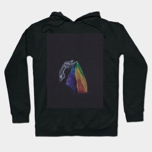 Pride Flag HS Hoodie